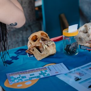 Sfeerbeeld Expeditie NEXT 2025 - Roermond